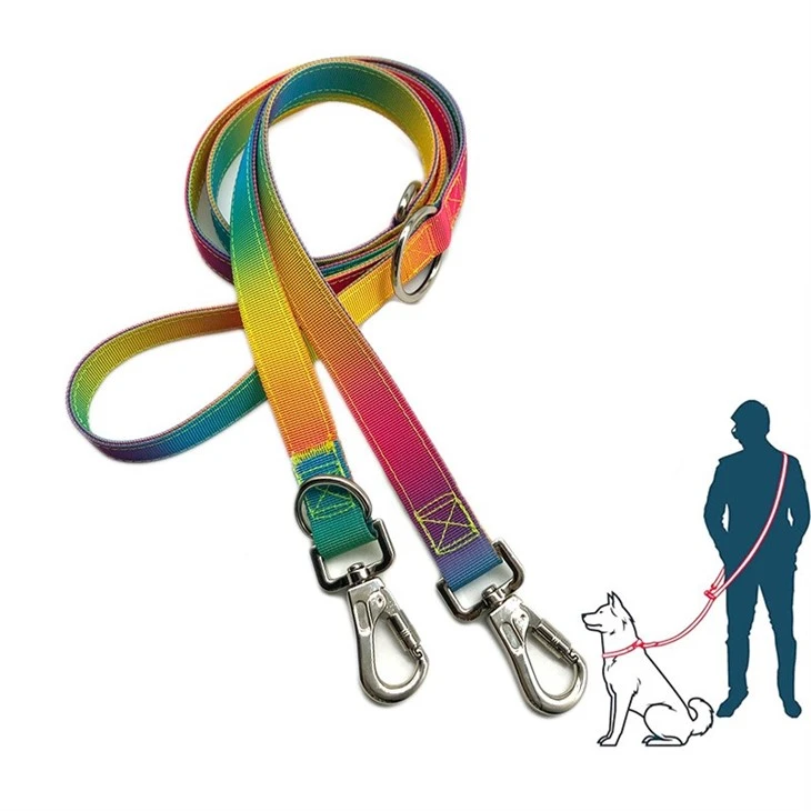Dog Leash Outdoor Dog Activities
